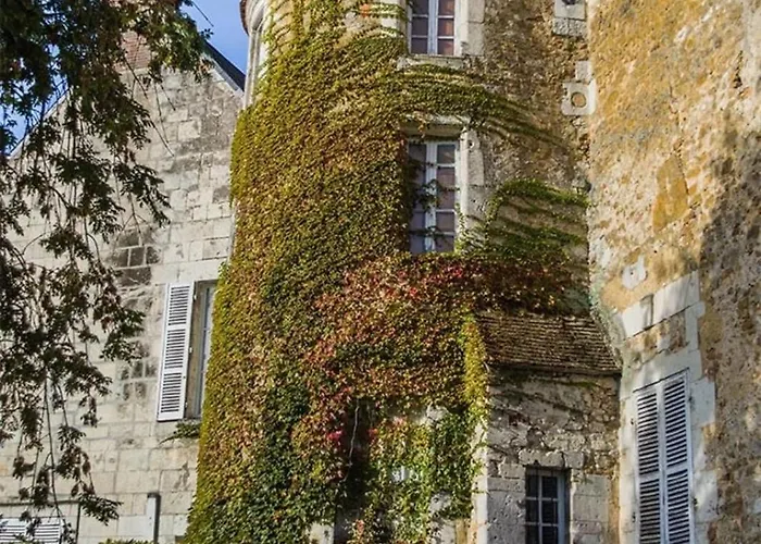 L’éclat Du Colza *